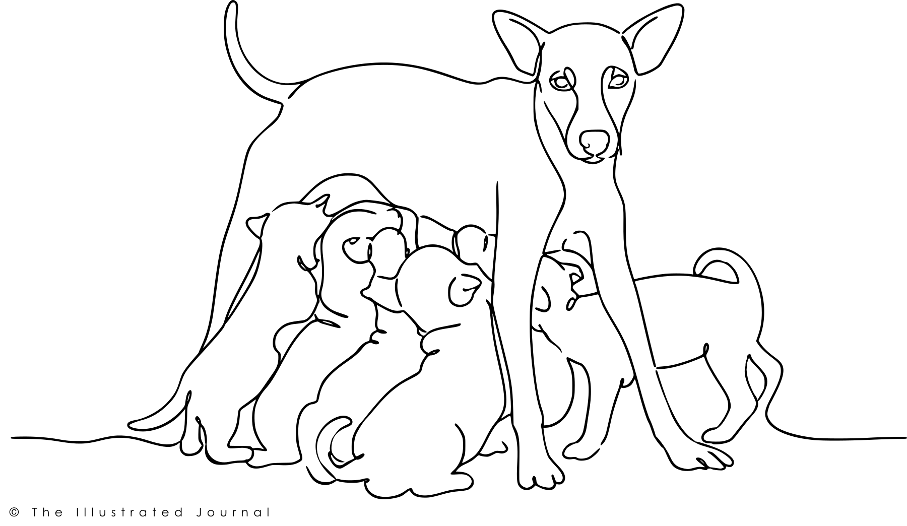 Minimalist one-line continuous drawing of a mother dog standing protectively over five nursing puppies, symbolizing care, resilience, and the struggle for survival in The Rain, The Gutter and the Five Little Souls.