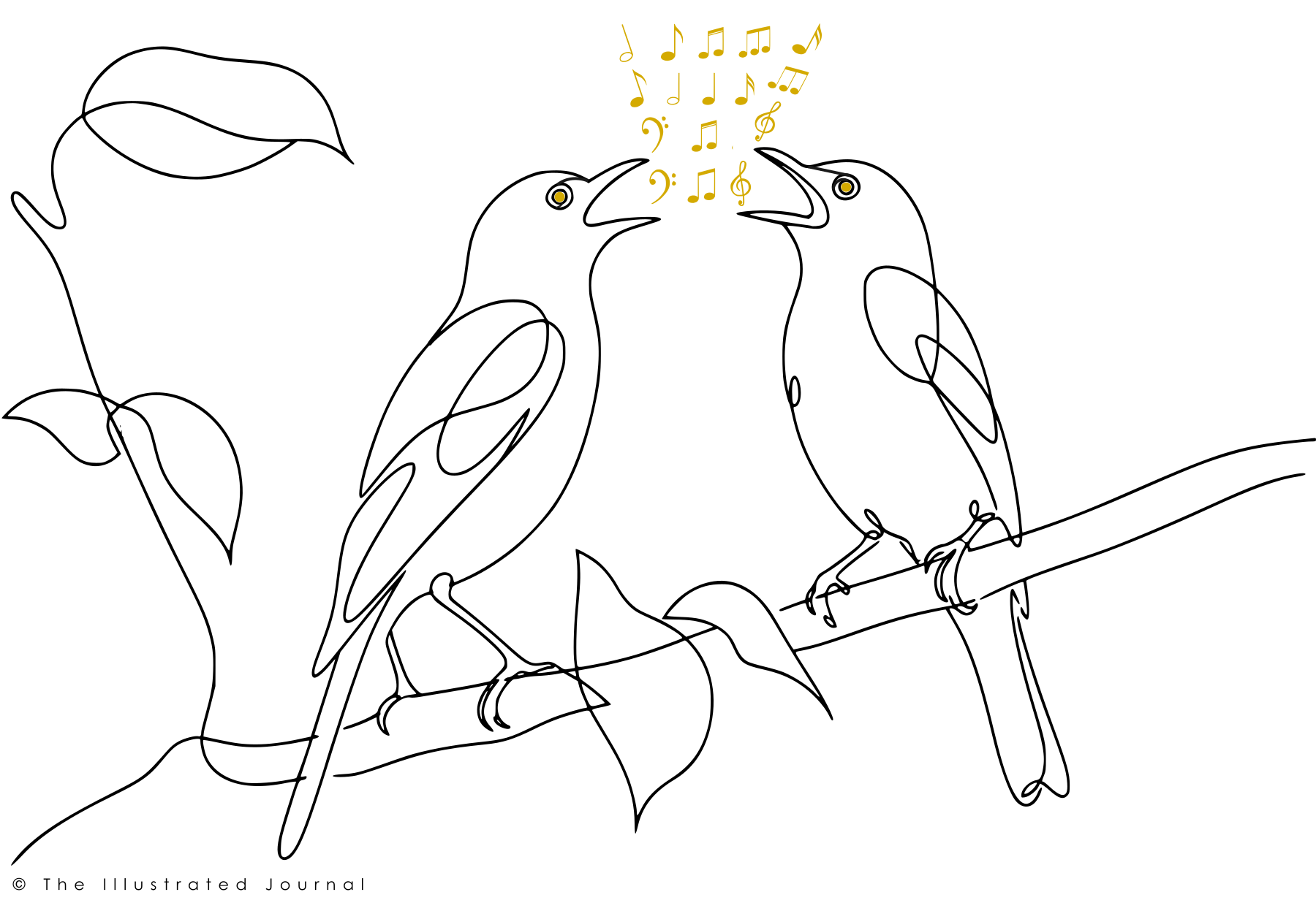 One-line art of two nightingales singing to each other, illustrating a reflection on language, identity and the legacies of Lata Mangeshkar and S. Janaki.